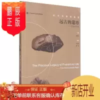 鹏辰正版远古的遗珍 中国恐龙蛋 恐龙蛋研究现状 恐龙是怎样进化而来的 恐龙蛋有哪些类型 研究恐龙蛋的意义