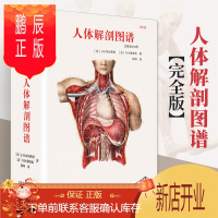鹏辰正版人体解剖图谱 Taschen授权引进 真人比例人体手绘手稿艺术画册解刨彩色学图谱 骨学关