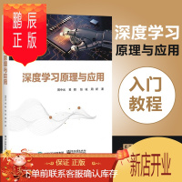 鹏辰正版深度学习原理与应用 深度学习方法技术从事深度学习和人工智能的软件工程师学习机器学习的本科或研究生参