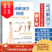 鹏辰正版运动解剖学图谱 肌肉结构与功能全解第3版 人体解剖定位基础知识书籍 180余种肌肉的位置