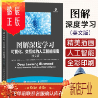鹏辰正版图解深度学习 可视化交互式的人工智能指南 英文版 图解机器学*神经网络与深度学习机器学习