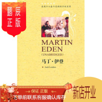 鹏辰正版马丁 伊登