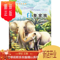 鹏辰正版白象家族