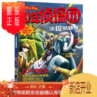 鹏辰正版活捉骷髅怪