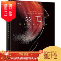 鹏辰正版羽毛 鸟类闪耀的风采