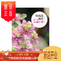 鹏辰正版铁线莲栽培12月计划 家庭园艺