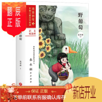 鹏辰正版野葡萄