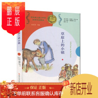 鹏辰正版草原上的小镇