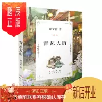 鹏辰正版曹文轩文集:青瓦大街