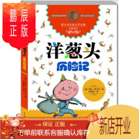 鹏辰正版洋葱头历险记