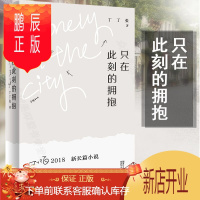 鹏辰正版 只在此刻的拥抱 丁丁张 继人生需要揭穿永无止尽的约会世界与你无关后中 2018