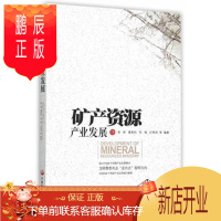 鹏辰正版矿产资源产业发展 崔彬、葛新权、邹愉、吕晓岚著