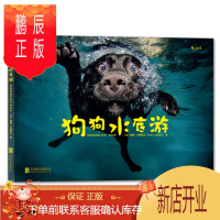 鹏辰正版 狗狗水底游