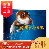 鹏辰正版 狗宝宝水底游