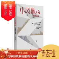 鹏辰正版 小风暴1.0
