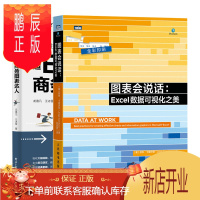 鹏辰正版 图表会说话 Excel数据可视化之美+打造Excel商务图表达人书籍