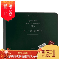 鹏辰正版 另一片天空下 走进历史的全球之旅 中信出版社