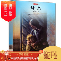 鹏辰正版世界名著母 名家名译全译本完整版 世界经典文学名著 中文版 高尔基著