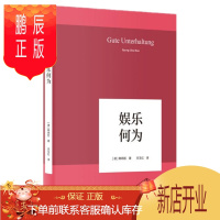 鹏辰正版 娱乐何为 韩炳哲作品 中信出版社