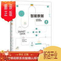 鹏辰正版智能数据:如何挖掘高价值数据 中信出版社 比约恩·布劳卿