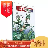 鹏辰正版小牛顿科学馆:茶9787544849203