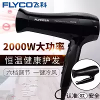 飞科(FLYCO)家用吹风机大功率fh6231电吹风学生宿舍吹风机冷热风恒温风筒