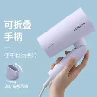 飞科(FLYCO)电吹风机家用大功率发型师吹风筒学生宿舍 紫色送鱼嘴