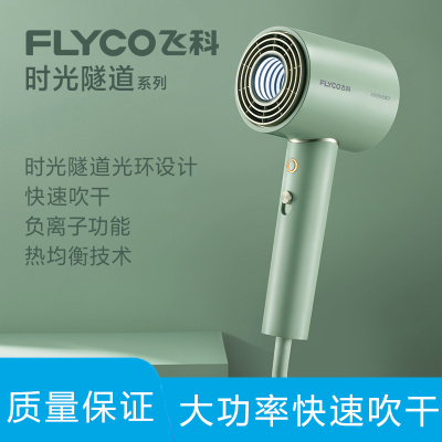 飞科(FLYCO)电吹风机家用大功率发型师发廊学生宿舍风筒
