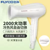 飞科(FLYCO)电吹风机家用宿舍学生大功率吹风筒发廊网红款FH6232 FH6232