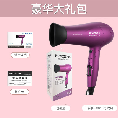 飞科(FLYCO)电吹风机家用大功率理发店发型师吹风筒 紫色