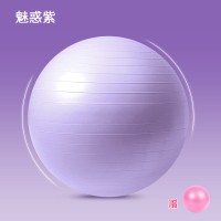瑜伽球儿童感统训练加厚防爆瑜珈球健身球孕妇分娩 魅惑紫[赠小球]每个ID仅限一个 55cm(身高150-160cm)