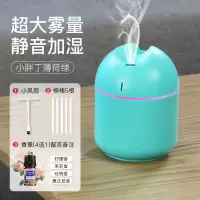 usb加湿器带风扇 家用卧室车载宿舍学生香薰精油小型 小胖丁薄荷绿+香薰+5棉棒+至尊小风扇[超大雾量♦加湿]