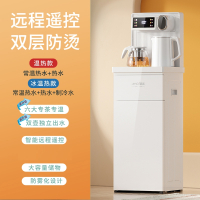 夏新(AMOI)煮茶吧机家用电水瓶立式智能语音冷热自动饮水机_炫彩大屏白色双出水遥控防烫壶_冰温热