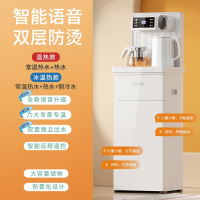 夏新(AMOI)煮茶吧机家用电水瓶立式智能语音冷热自动饮水机_炫彩大屏语音白色双出水遥控防烫壶_冰温热