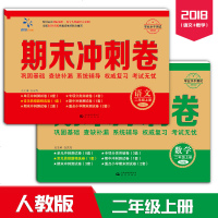 2019新版期末冲刺100分试卷 二年级数学测试题黄冈小状元试卷人教版RJ 小学二年级上册试卷语文+数学2本 课时