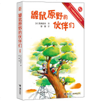 接力社官方正版 鼹鼠原野的伙伴们新版 外国教育部推荐书系3-12岁外国儿童文学成长校园小说 儿童精彩课外读物 儿童心