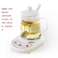 煮茶小型养生壶金蛋办公室烧茶炉mini花茶壶电炖杯玻璃烧水壶 升级款(快一倍)360w+萝卜D