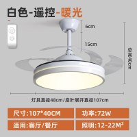 隐形风扇灯家用时光旧巷简约现代客厅卧室餐厅吊扇灯具大气遥控带电扇吊灯 42寸白色暖光-遥控