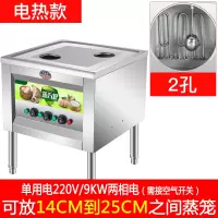 蒸包炉商用蒸炉金蛋多功能电蒸机燃气馒头蒸汽炉节能蒸肠粉炉 二孔电热款[只用电]