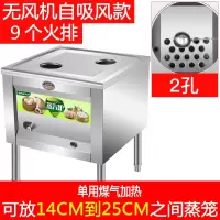 蒸包炉商用蒸炉金蛋多功能电蒸机燃气馒头蒸汽炉节能蒸肠粉炉 二孔自吸风款[只用气]