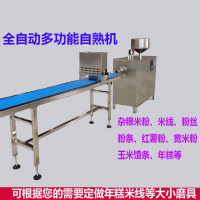 多功能年糕机玉米面条馇条米线自熟机金蛋全自动米凉粉米豆腐宽粉机器(定金)