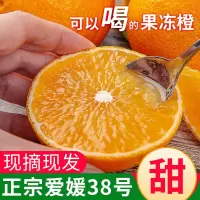 正宗四川爱媛38号果冻橙2.5斤带箱现摘现发新鲜精品大果70mm-80mm