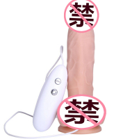 ZINI 女用自嗨玩仿真阳具全自动震动棒加温av棒情趣性用品 三代有线摇摆震动款