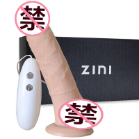 ZINI 女用自嗨玩仿真阳具全自动震动棒加温av棒情趣性用品 三代震动款