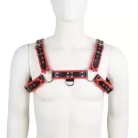桃色缘 上身紧缚衣皮衣黑红皮革胸甲胸衣 sm情趣用品男女用器具SM夫妻激情私密游戏另类调教成人性玩具 黑红款皮革胸甲