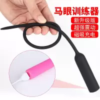 FAYA充电款硅胶强震前列腺按摩扩张尿道堵男用高潮刺激自慰情趣用品