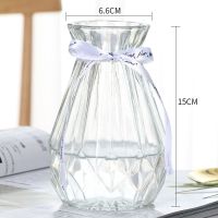 15新诺透明（1）个 玻璃花瓶 北欧 摆件 仿陶瓷 绿萝 水培 玻璃瓶 干花 客厅插花瓶