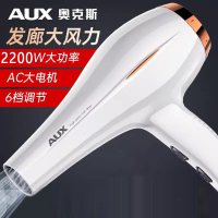 奥克斯(AUX)吹风机家用负离子恒温大风力大功率理发店专用宿舍风筒