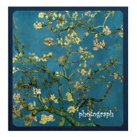 杏花—16寸 60页(120面)黑卡|567寸覆膜自粘式可写字拍立得复古文艺毕业情侣相册diy手工纪念册