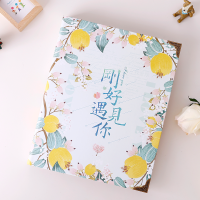 刚好遇见你 可放200张5寸+100张7寸|3寸5寸7寸混合装相册影集插页式家庭情侣大容量活页相册本纪念册